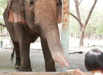 myanmar-burma/lower-myanmar/attraction/yadanarbon-zoo