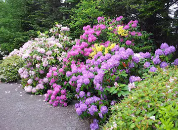 Memorial University Botanical Garden