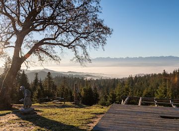poland/gorce-mountains/attraction/polana-lapsowa-nizna