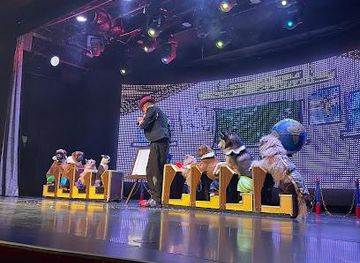 kentucky/henderson/attraction/popovich-comedy-pet-theater