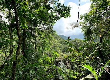 Finca Ecológica San Luis