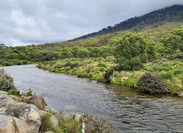 australia/kosciuszko-national-park/attraction/bullocks-track