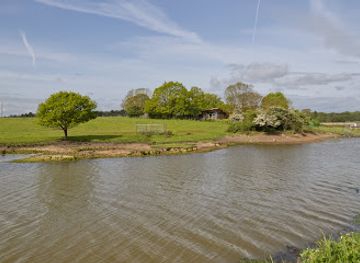united-kingdom/southwold/attraction/hen-reedbeds