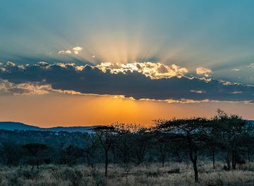 south-africa/route-62/attraction/umdende-safaris