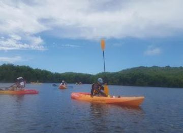 puerto-rico/fajardo/attraction/laguna-grande