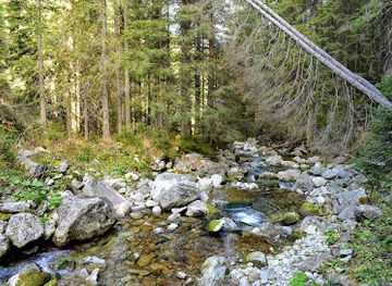 romania/retezat-national-park/attraction/valea-pietrele