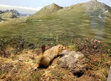 canada/ottawa-valley/attraction/canadian-museum-of-nature-musee-canadien-de-la-nature