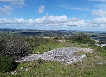 uruguay/cerro-arequita/attraction/monte-de-ombu