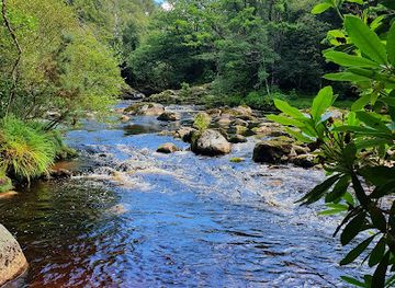 ireland/county-wicklow/attraction/jacksons-falls