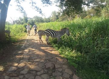 kenya/nyanza-region/attraction/kenya-wildlife-impala-park