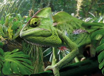 germany/brandenburg/attraction/biosphare-potsdam