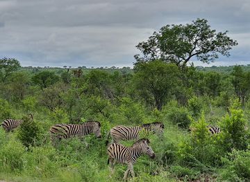 south-africa/bushveld/attraction/tindlovu-boskombuis-afsaal-picnic-site