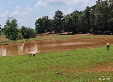 texas/blackland-prairie/attraction/cherokee-trace-drive-thru-safari