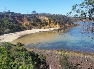 australia/mornington-peninsula/attraction/marina-cove