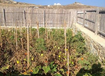 greece/mykonos/attraction/mykonian-spiti-farm-house-travel-activities-events-mykonos-greece