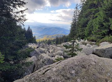 bulgaria/vitosha-mountain/attraction/viewpoint