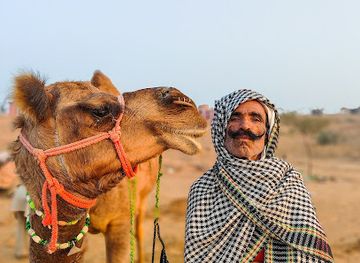 india/pushkar/attraction/camel-trade-fair