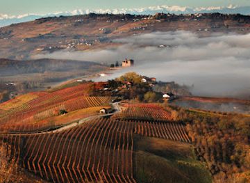italy/roero/attraction/cantina-terre-del-barolo