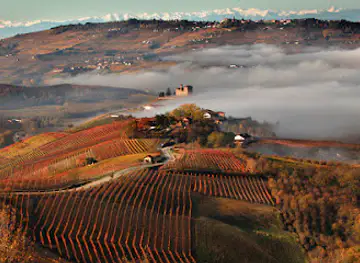 Cantina Terre del Barolo
