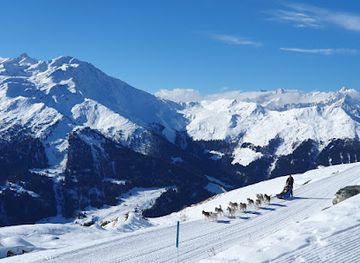 switzerland/verbier/attraction/arco-mushing-team-hiver