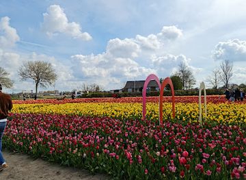 netherlands/bollenstreek/attraction/the-tulip-barn