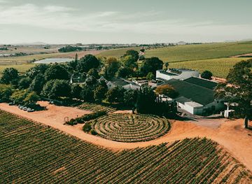 south-africa/cape-winelands/attraction/simonsig-family-vineyards