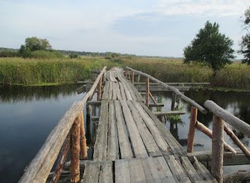 ukraine/prypiat-marshes/attraction/derev-yanyy-pishokhidnyy-mist