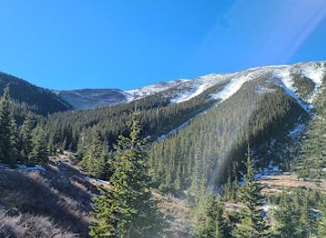 arizona/san-francisco-peaks/attraction/abineau-bear-jaw-loop-trail