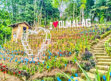 philippines/western-visayas/attraction/instaland