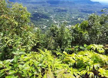 malaysia/kuching/attraction/mt-singai-foothill