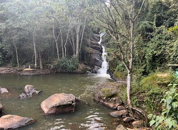 tanzania/kilimanjaro-region/attraction/mkuzi-water-falls