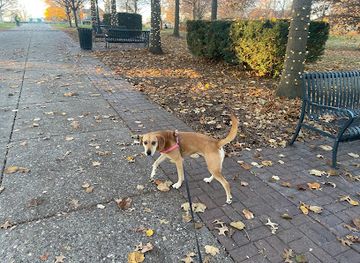 iowa/davenport/attraction/the-grand-allee