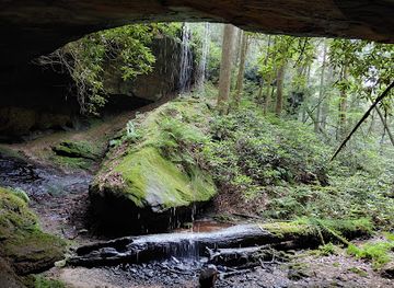 kentucky/red-river-gorge-geological-area/attraction/swift-camp-creek-trail-red-river-gorge