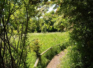 united-kingdom/bedfordshire/attraction/hill-rise-local-nature-reserve