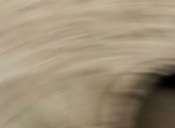 maldives/alimatha-island/attraction/mosque