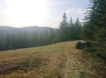 poland/gorce-mountains/attraction/dolina-kamienicy