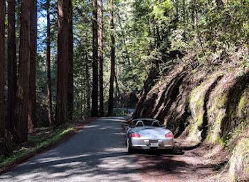 california/redwood-national-and-state-parks/attraction/heritage-grove