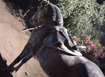 egypt/asyut/attraction/mzr-alhj-abrm-aly