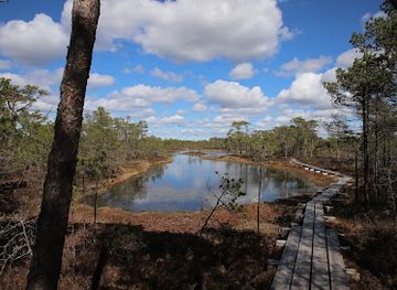 estonia/laane-virumaa/attraction/simisalu-matsimae-nature-trail