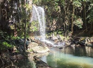 australia/gold-coast/attraction/tamborine-national-park