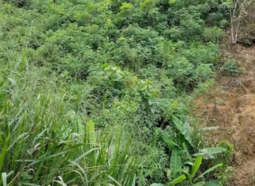 ecuador/santa-elena-region/attraction/quebrada-santa-elena