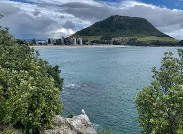 new-zealand/tauranga/attraction/moturiki-island