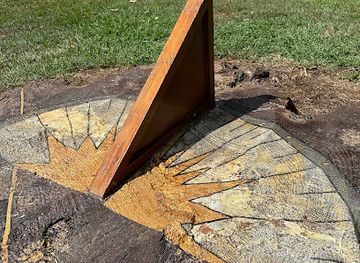 north-carolina/raleigh/attraction/stumphenge