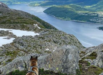 norway/nordland/attraction/oyfjellvarden-818-moh