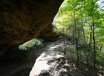 kentucky/red-river-gorge-geological-area/attraction/star-gap-arch