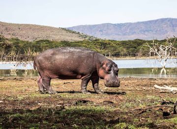 kenya/lake-naivasha/attraction/oserengoni-wildlife-sanctuary