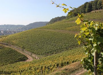france/alsace-wine-route/attraction/domaines-schlumberger