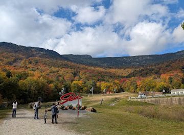 vermont/lamoille-county/attraction/gondola-skyride