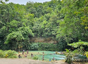jamaica/ocho-rios/attraction/mada-fed-nature-river