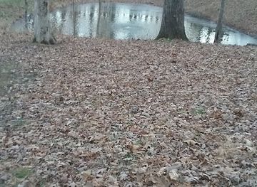 indiana/yellowwood-state-forest/attraction/indiana-raptor-center